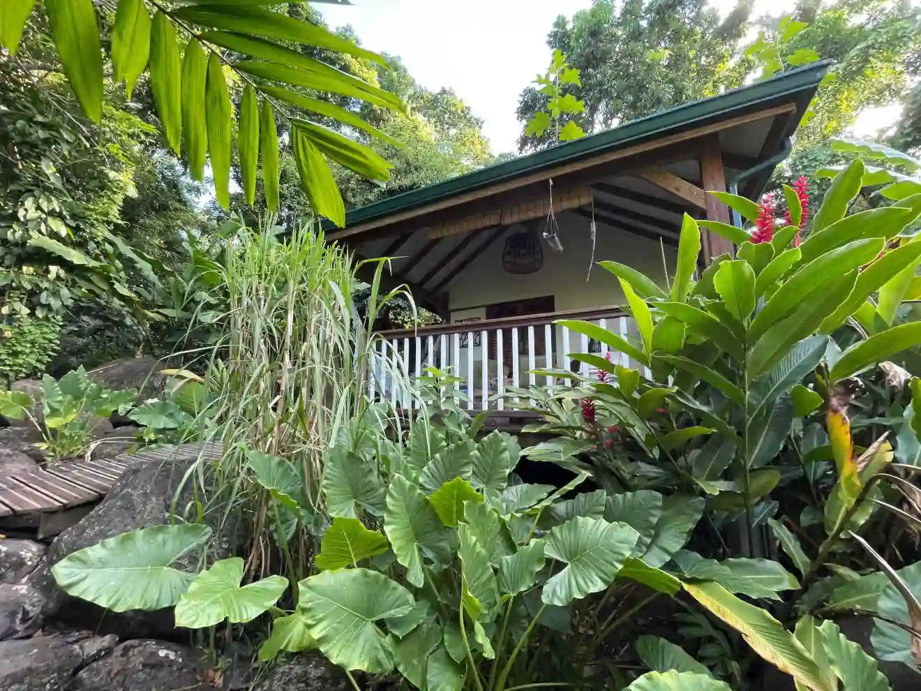 Ti'Coco, a haven of peace in a tropical garden.